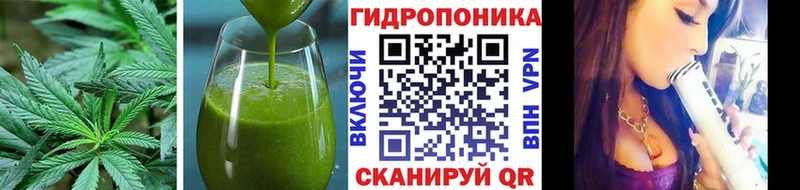 Cannafood конопля  наркота  Светлый 