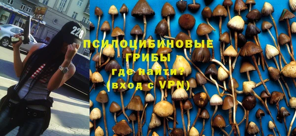 мескалин Аркадак
